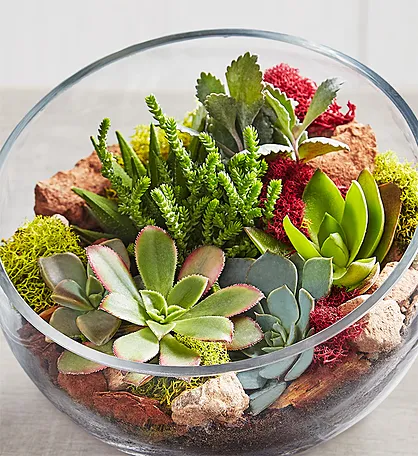 1-800-FLOWERS.COM E-Gift Card